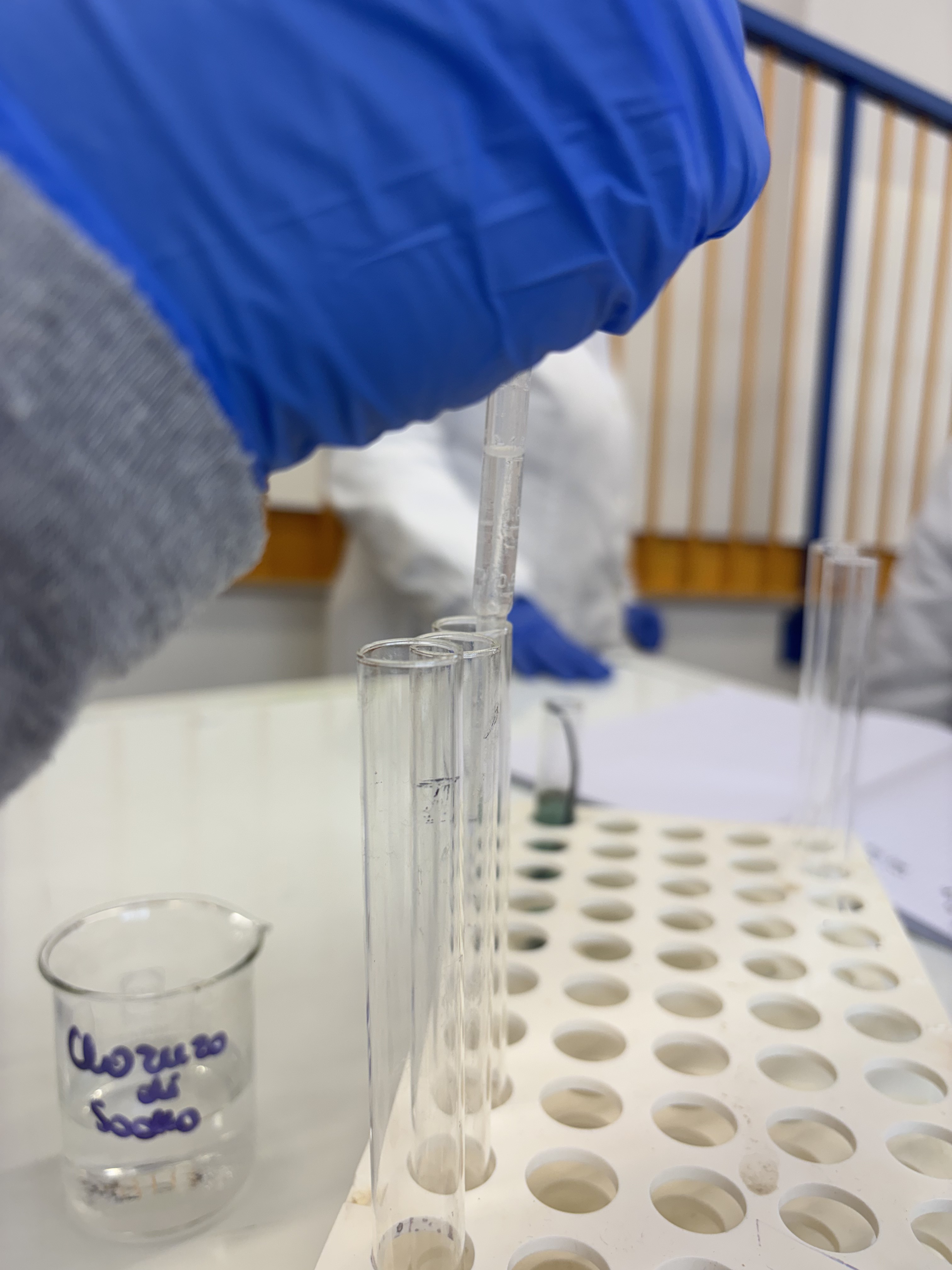 Distribuzione NaCl nelle provette